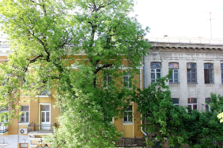 Фотография номера хостела Оранж