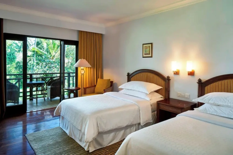 Deluxe Twin room with balcony and with garden view
