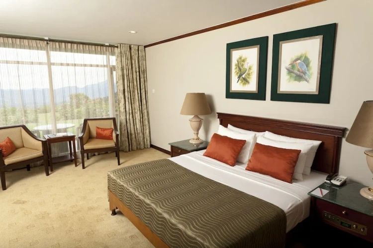 1 Bedroom Deluxe Double room with mountain view