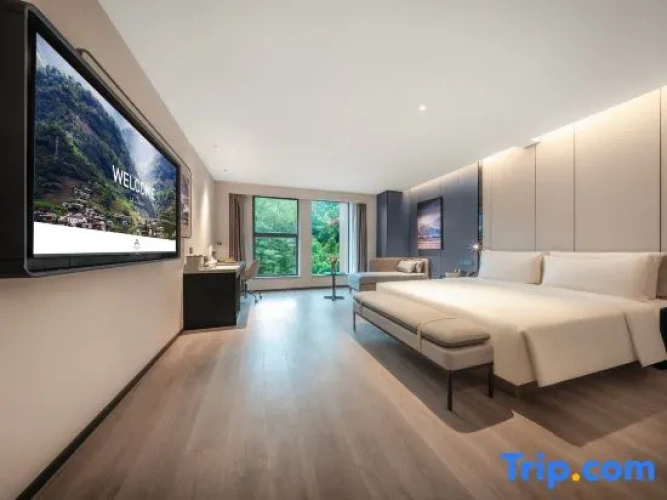 Premium Double room