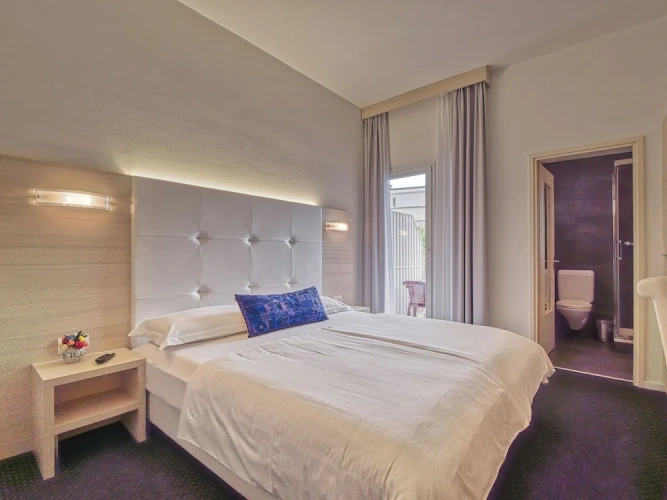 Standard Double room with balcony and with lake view