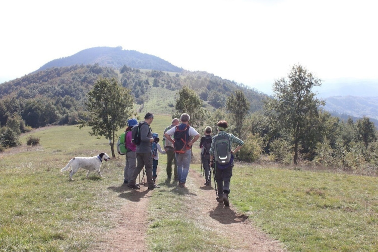 Bio Agriturismo La Cerqua - 翁布里亞
