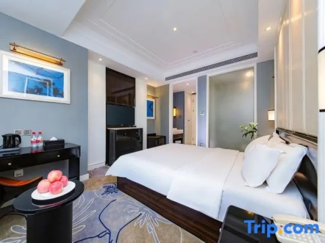 Standard Suite
