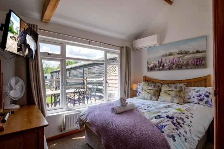 1 Bedroom Suite