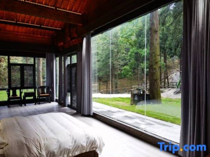 Business Double room with courtyard view
