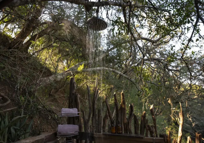 Stargazer Camp - Bellevue Forest Reserve