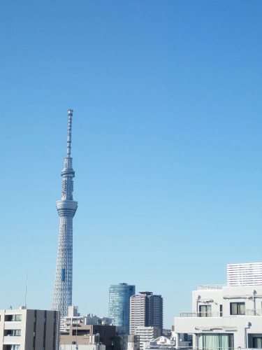 Excel City HotelOver view