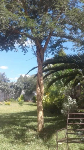 Gunhill guest house