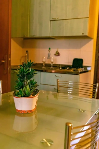 Double Apartment