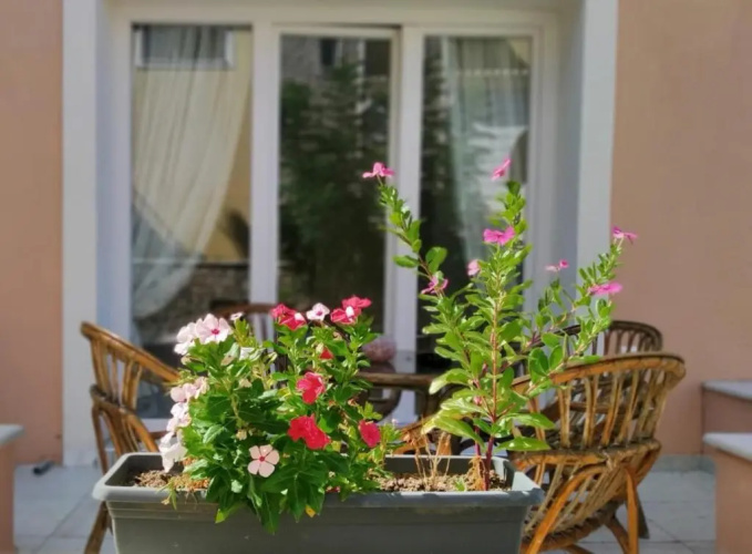 Sunshine Home 3 with Sea View