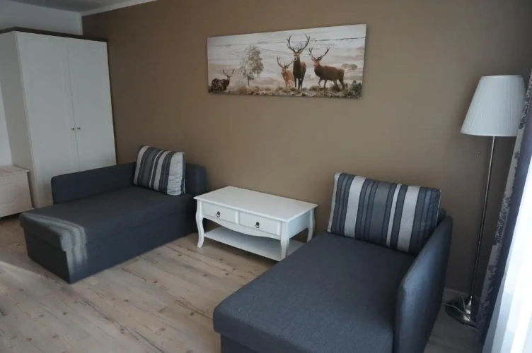 1 Bedroom Suite