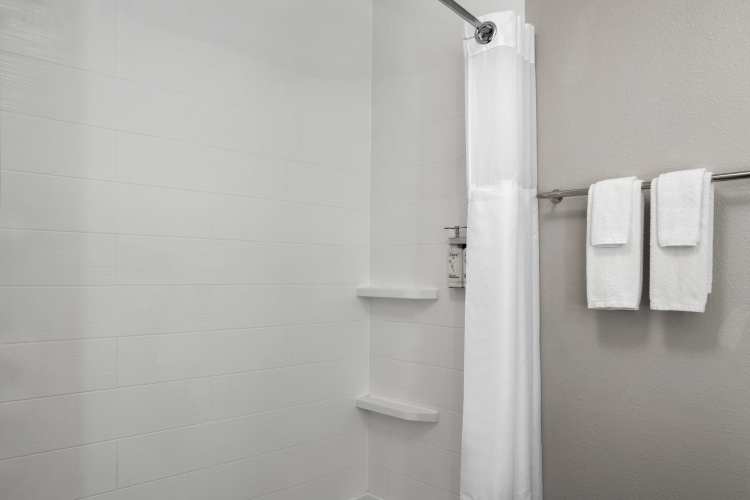 Holiday Inn Express & Suites St. Petersburg North (I-275) photo 10