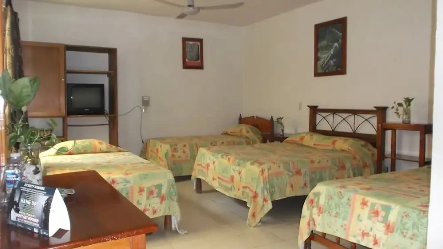 1 Bedroom Standard Triple Family room