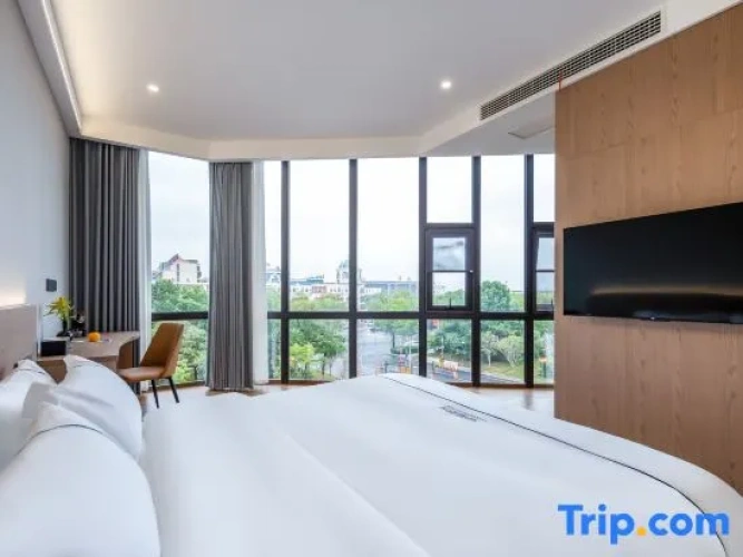 Business Double room with city view