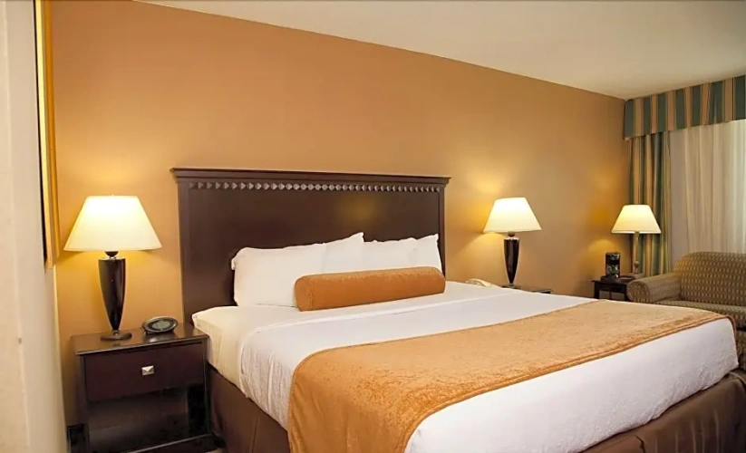 Executive Double room