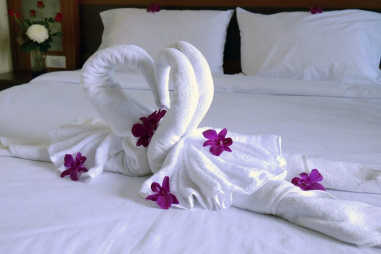 Suite Dreams