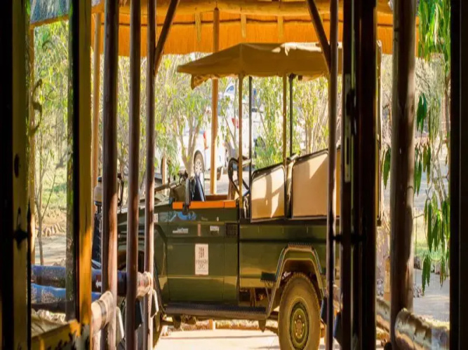 Camp Shonga