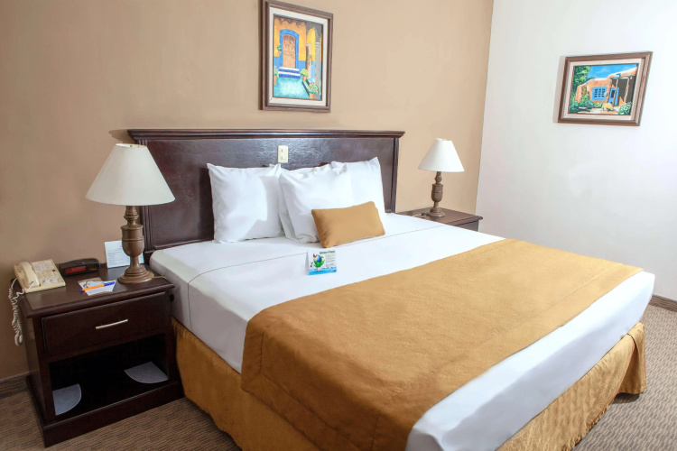 Best Western Hotel Posada Del Rio Express
