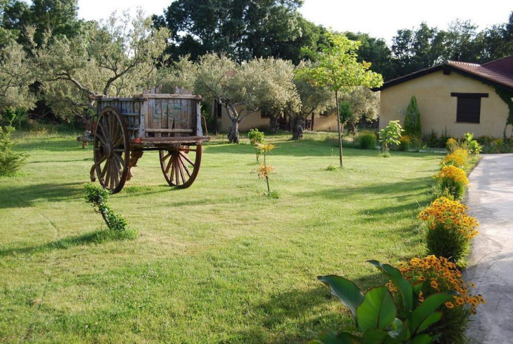 El Manantial Del Fresno