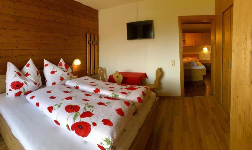 2 Bedrooms Standard Family room