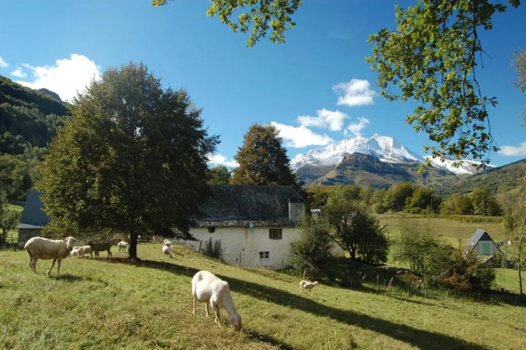 Les Terres Nères