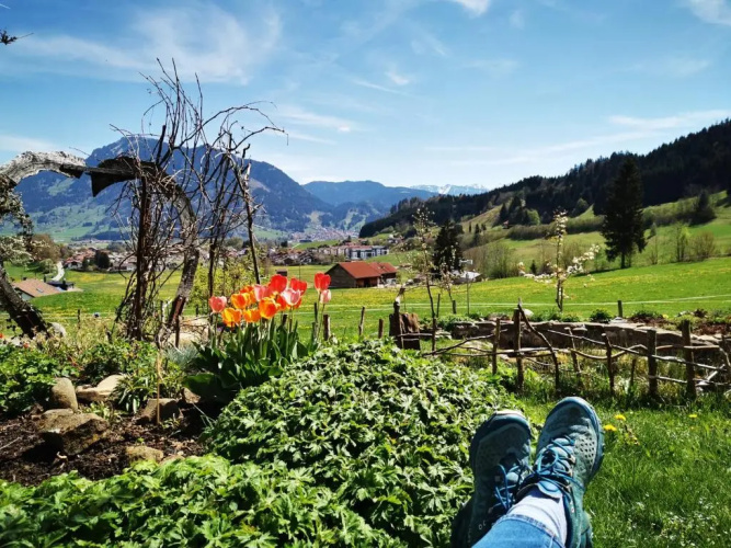Blumenoase Allgäu