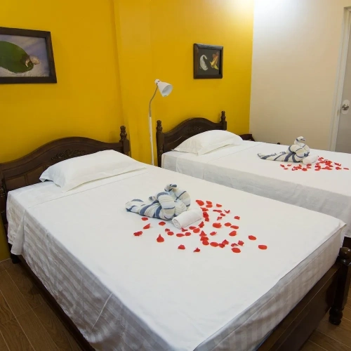 Superior Double room with balcony