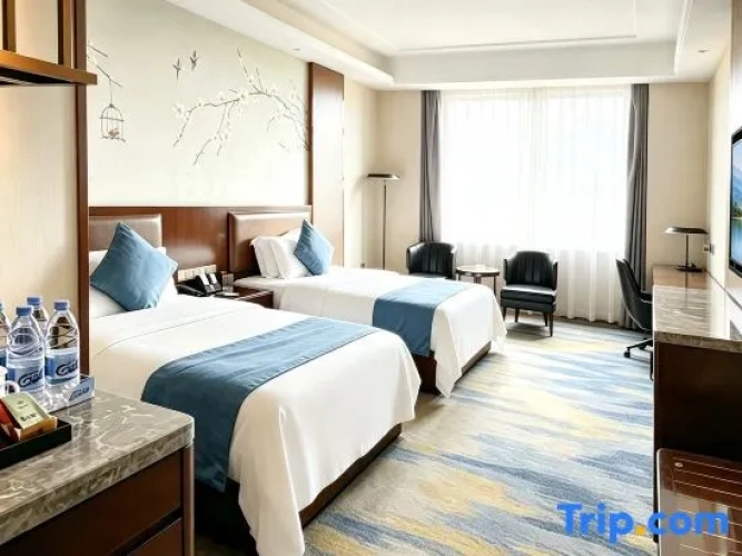 Comfort Twin room
