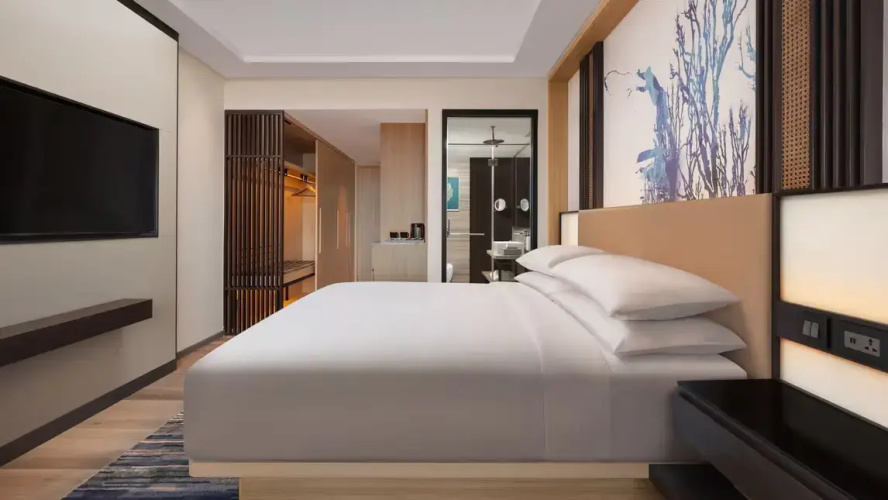 Deluxe Double room with city view