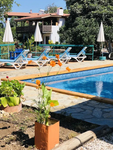 Suleyman's Garden