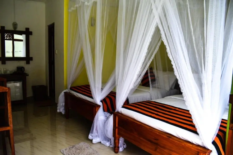 Deluxe Double room with view