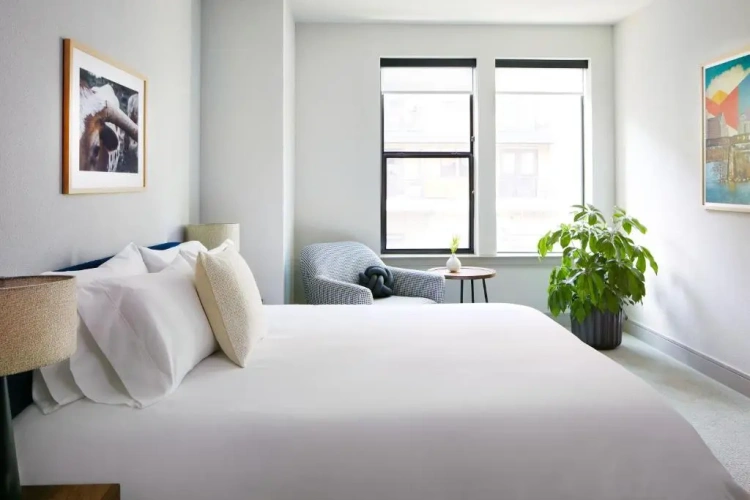 1 Bedroom Suite