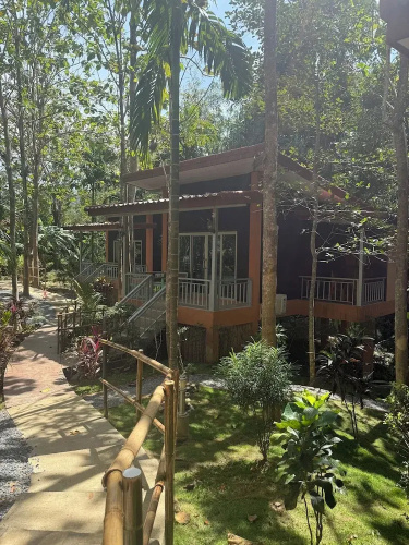 Echo Samadhi