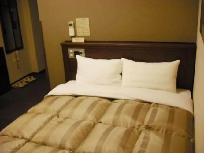 Hotel Route Inn Kanda EkimaeOver view