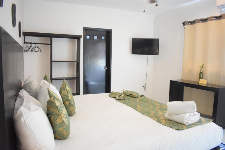 Standard Double room with balcony and with view