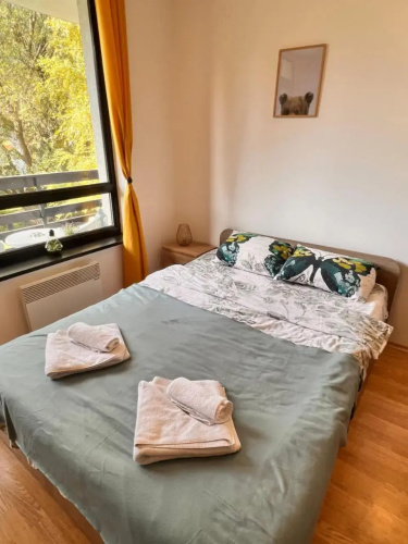 Cosy studios with mountain view near Bansko