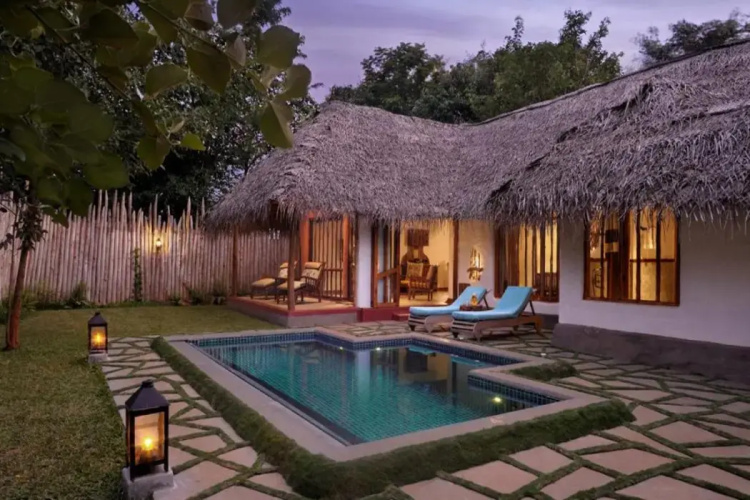 Evolve Back, Kabini