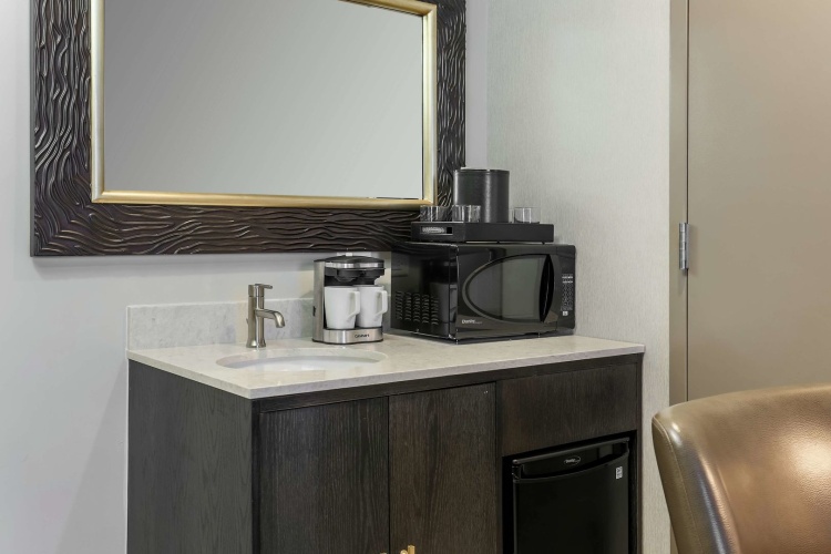 Embassy Suites by Hilton Syracuse Destiny USA photo 29