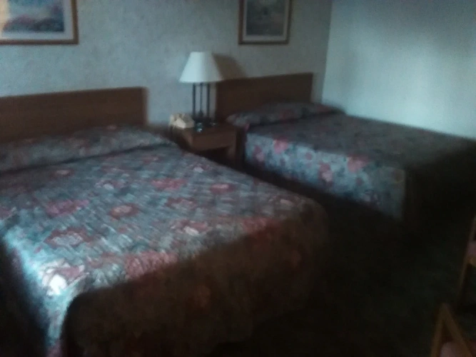 Premier Quadruple Basement room