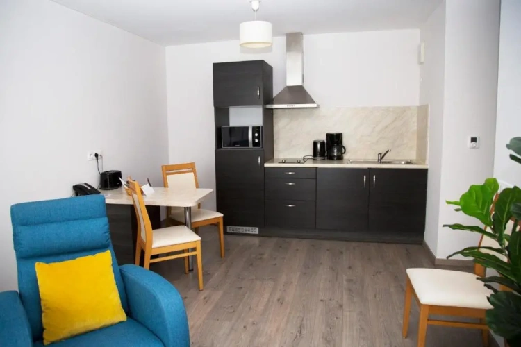 1 Bedroom Apartment with balcony and with view