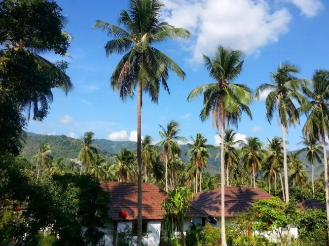 2 Bedrooms Deluxe Villa