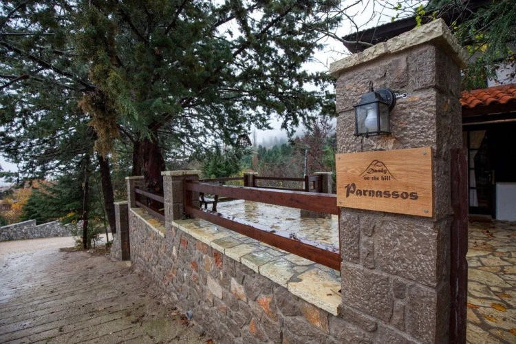 Dandy Villas Agoriani