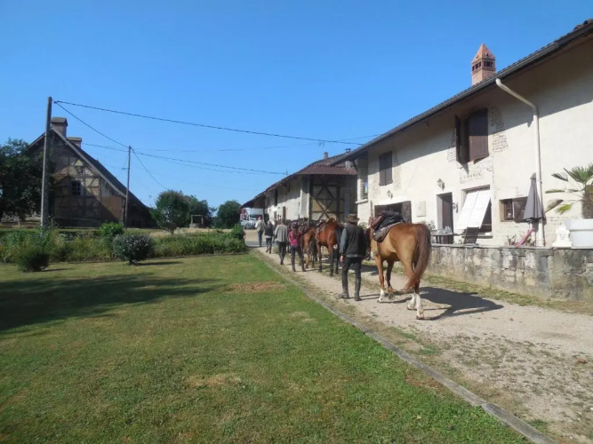 chambre d’hôtes la jument grise