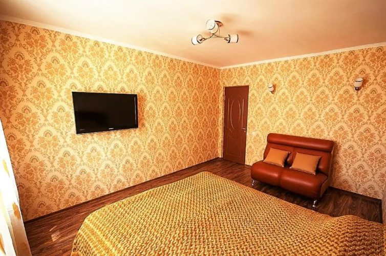 Cozy flat on Pushkin 33