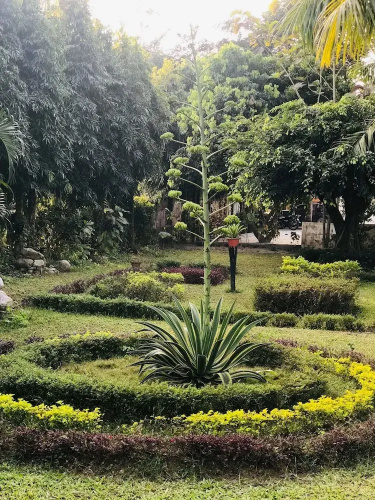 Royal Tiger Safari Resort