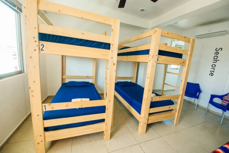 Bed in Dorm (female dorm)