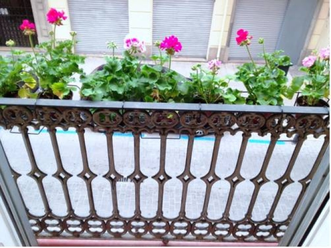 La Reina Bed & Breakfast