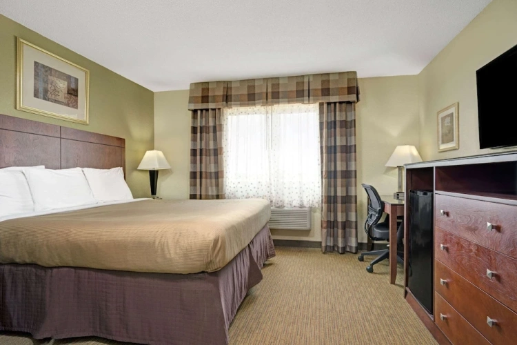 1 Bedroom Suite