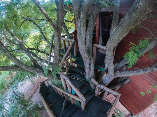Deluxe Cottage