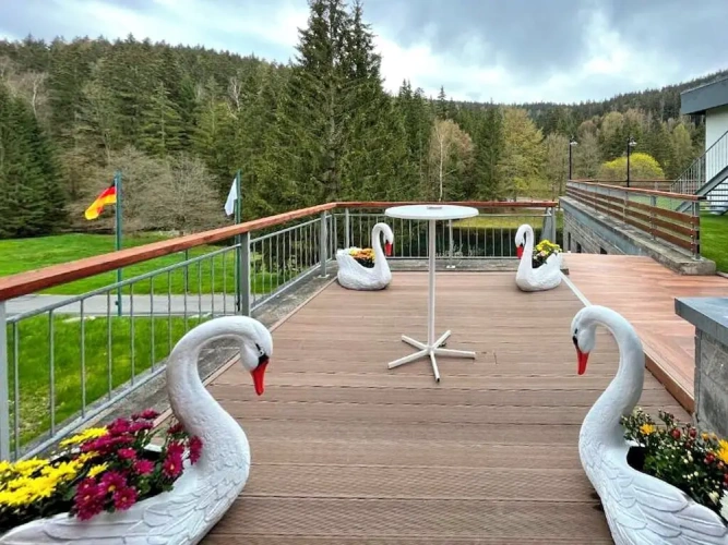 Double room with balcony and with forest view